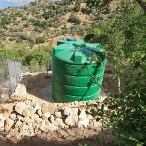 5 ways to keep unwanted substances out of your rainwater tank